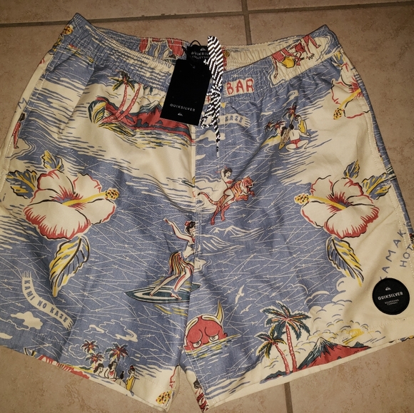 Quiksilver Other - Quiksilver Valley Shorts Medium
